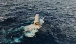 Ship 40 Back At Starbase After Surprise Reentry Survival